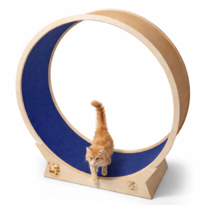 Grande Ruota del Gatto 130cm